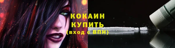 гашик Зеленокумск