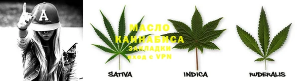 гашик Зеленокумск