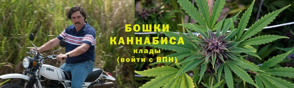 гашик Зеленокумск