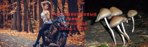 мяу мяу кристалл Зерноград
