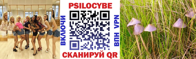 Галлюциногенные грибы Psilocybe  Купить закладки  Звенигород 